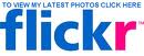 Flickr Icon