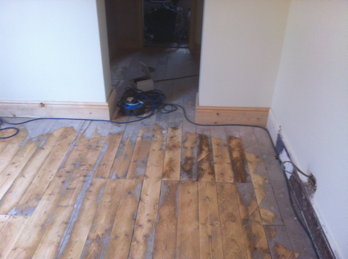 Floorboards Restored Sanded and Sealed in North Wales